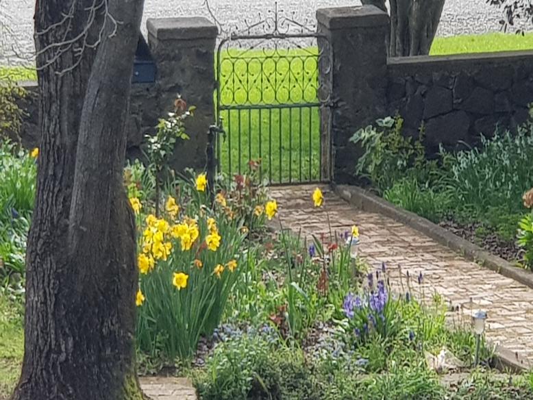 Deloraine Guest house